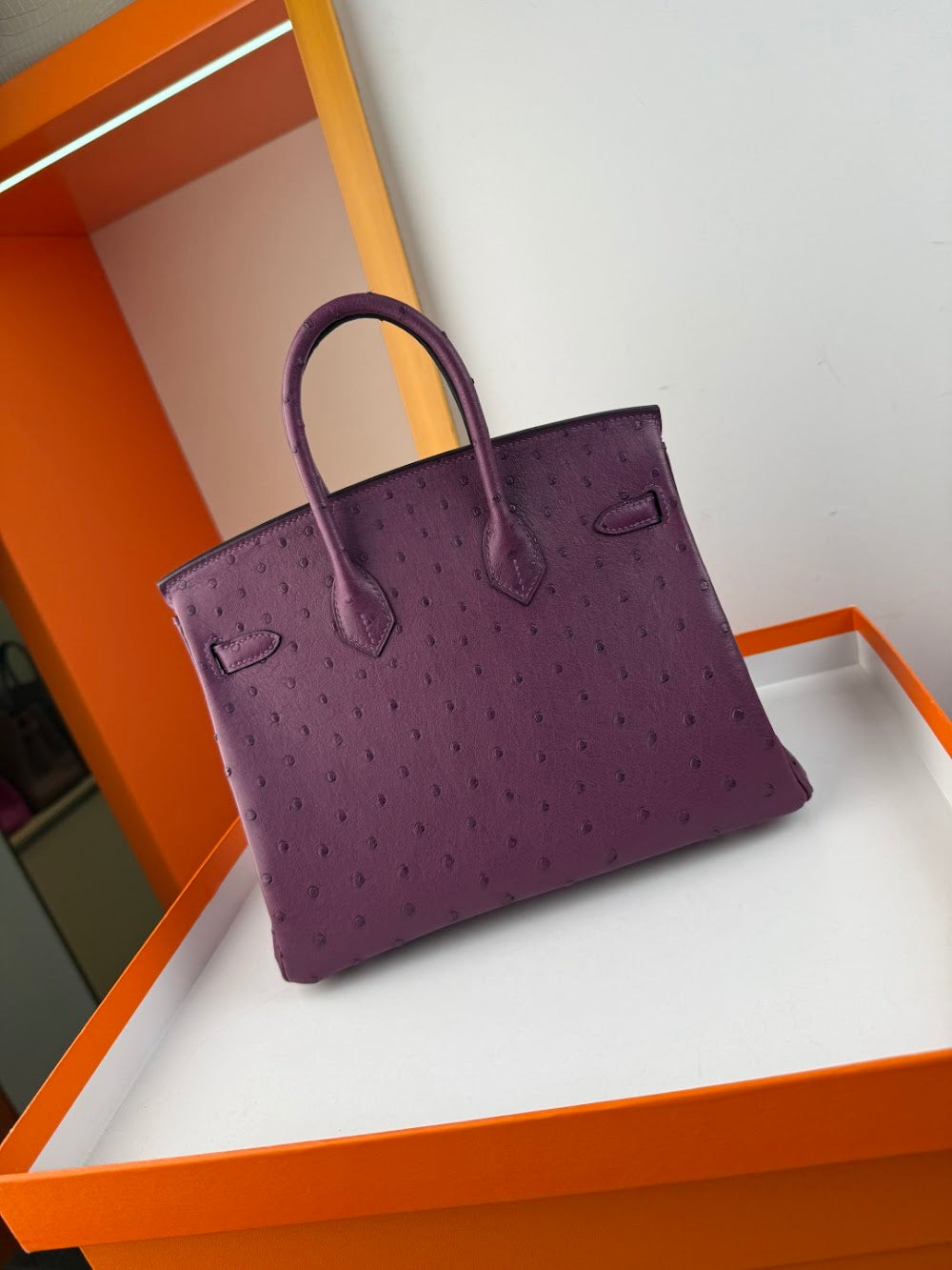 Anum Bags Hermesn Luxury Bag --116760