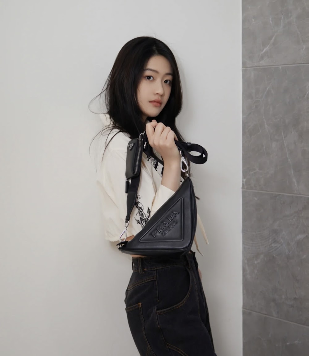 Ezyycart Bags Pradn Luxury Bag --102651