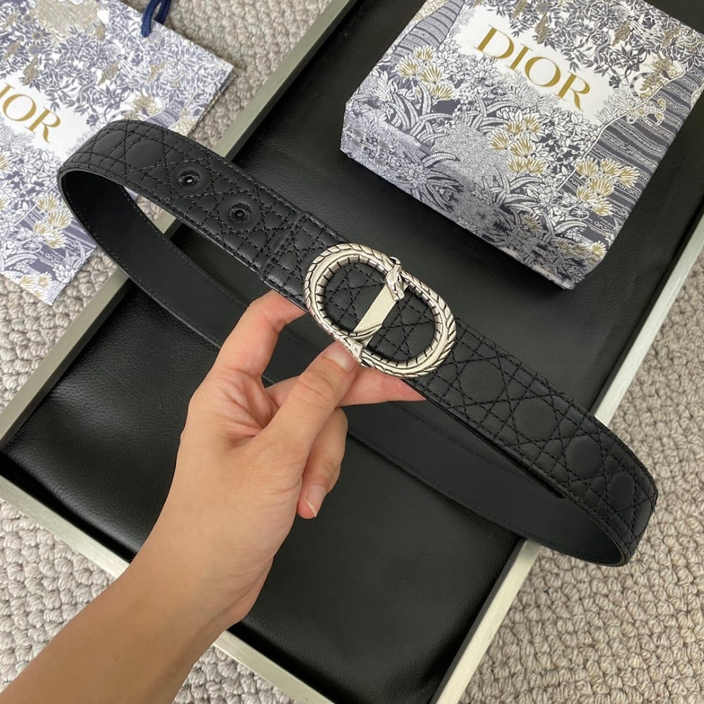 Anum Bags Diorn Luxury Belt --104899