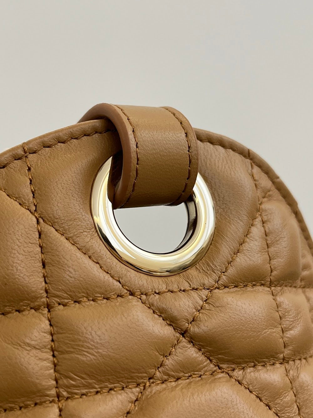 Anum Bags Diorn Luxury Bag --114958