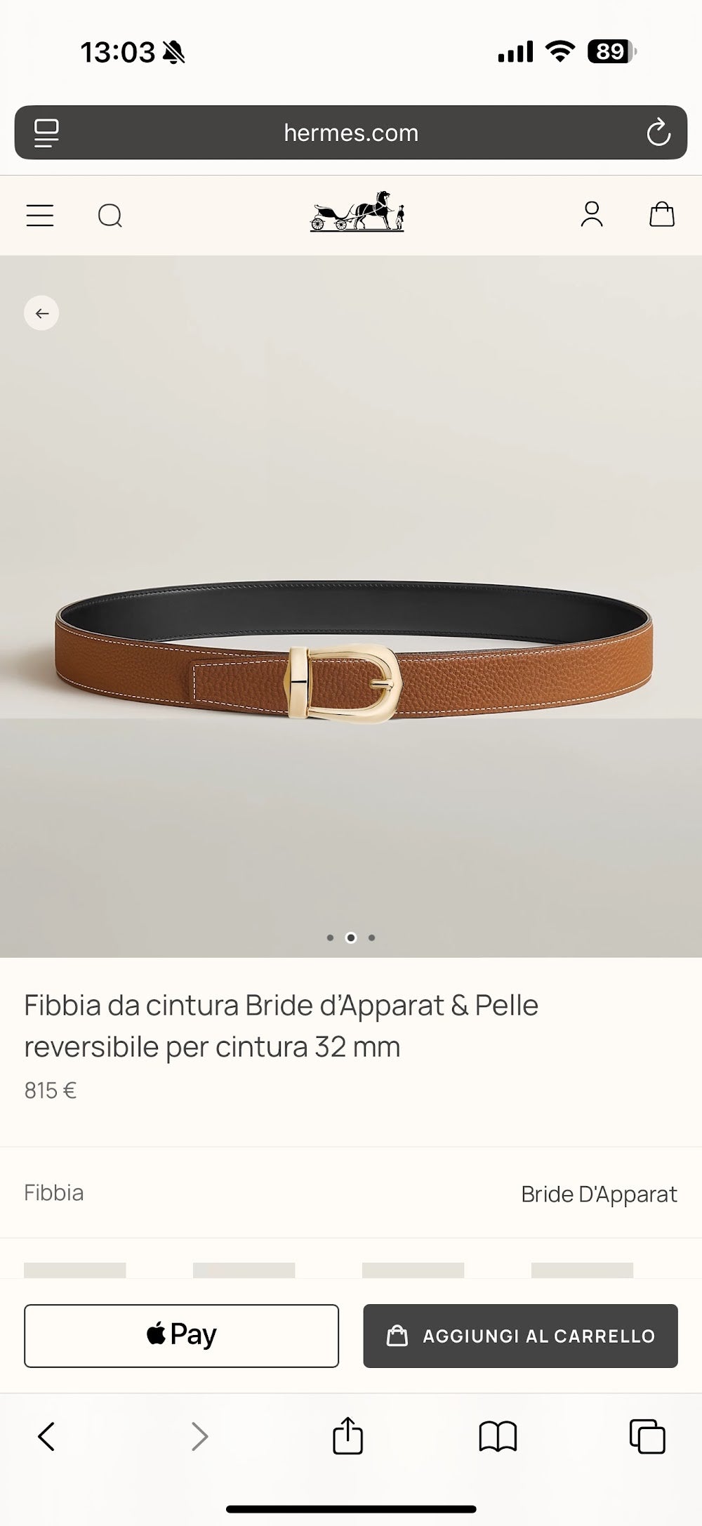 Anum Bags Hermesn Luxury Belt --109133