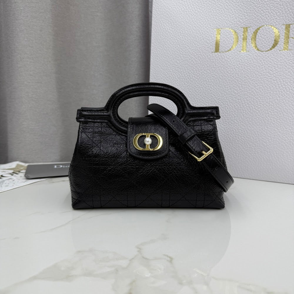 Ezyycart Bags Diorn Luxury Bag --116098