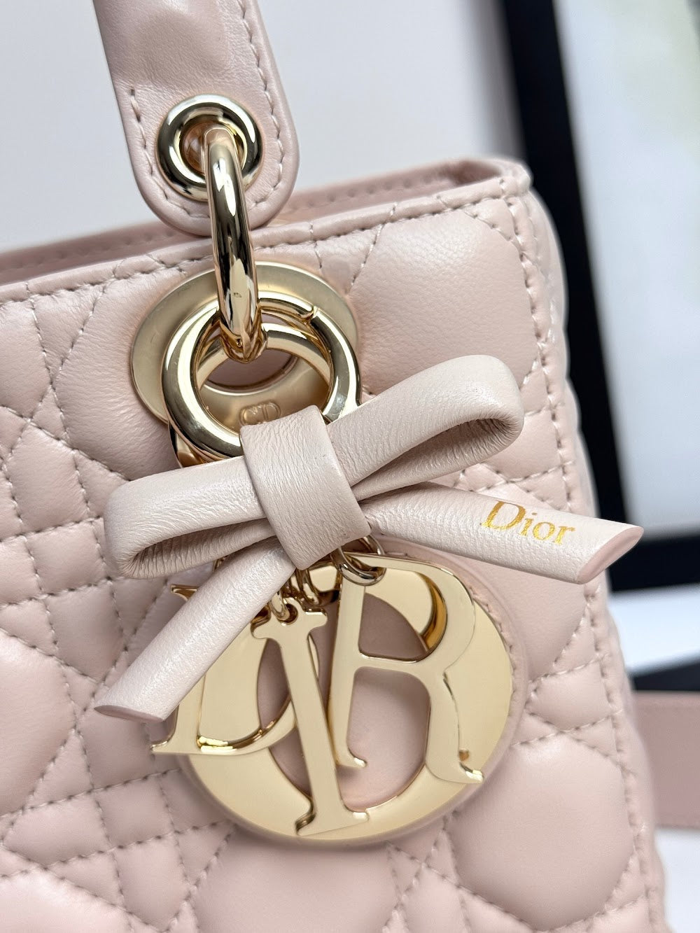 Anum Bags Diorn Luxury Bag --114947