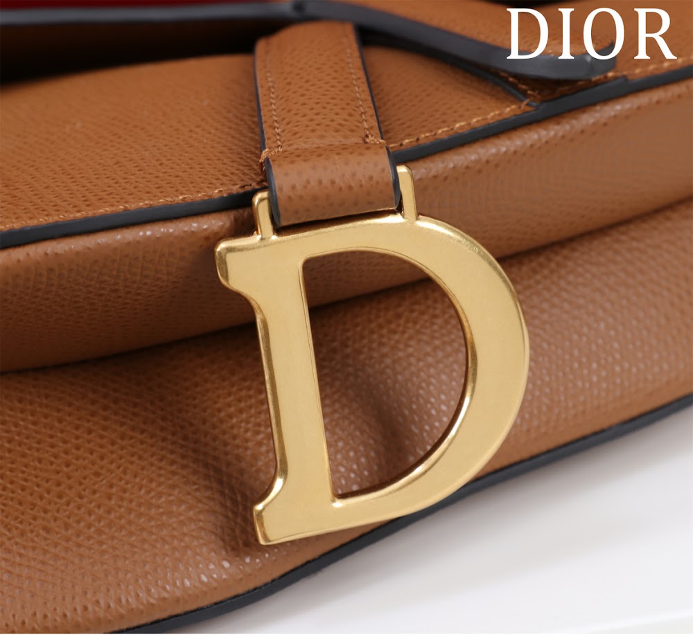 Ezyycart Bags Diorn Luxury Bag --116498