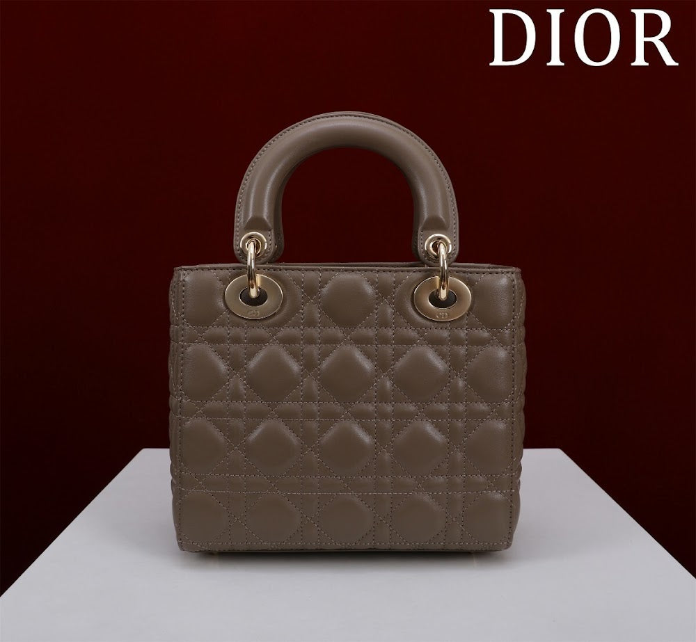 Ezyycart Bags Diorn Luxury Bag --115914