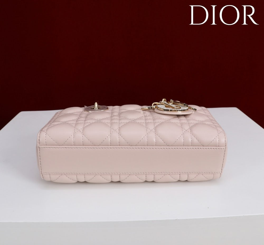 Anum Bags Diorn Luxury Bag --114785