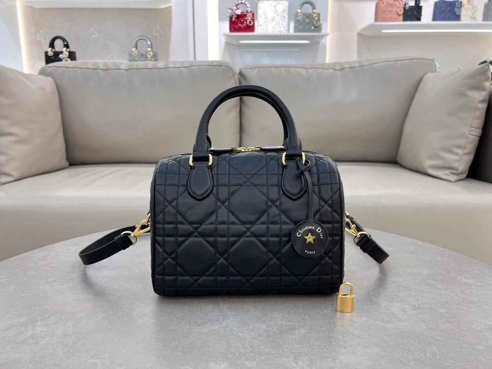Ezyycart Bags Diorn Luxury Bag --116307