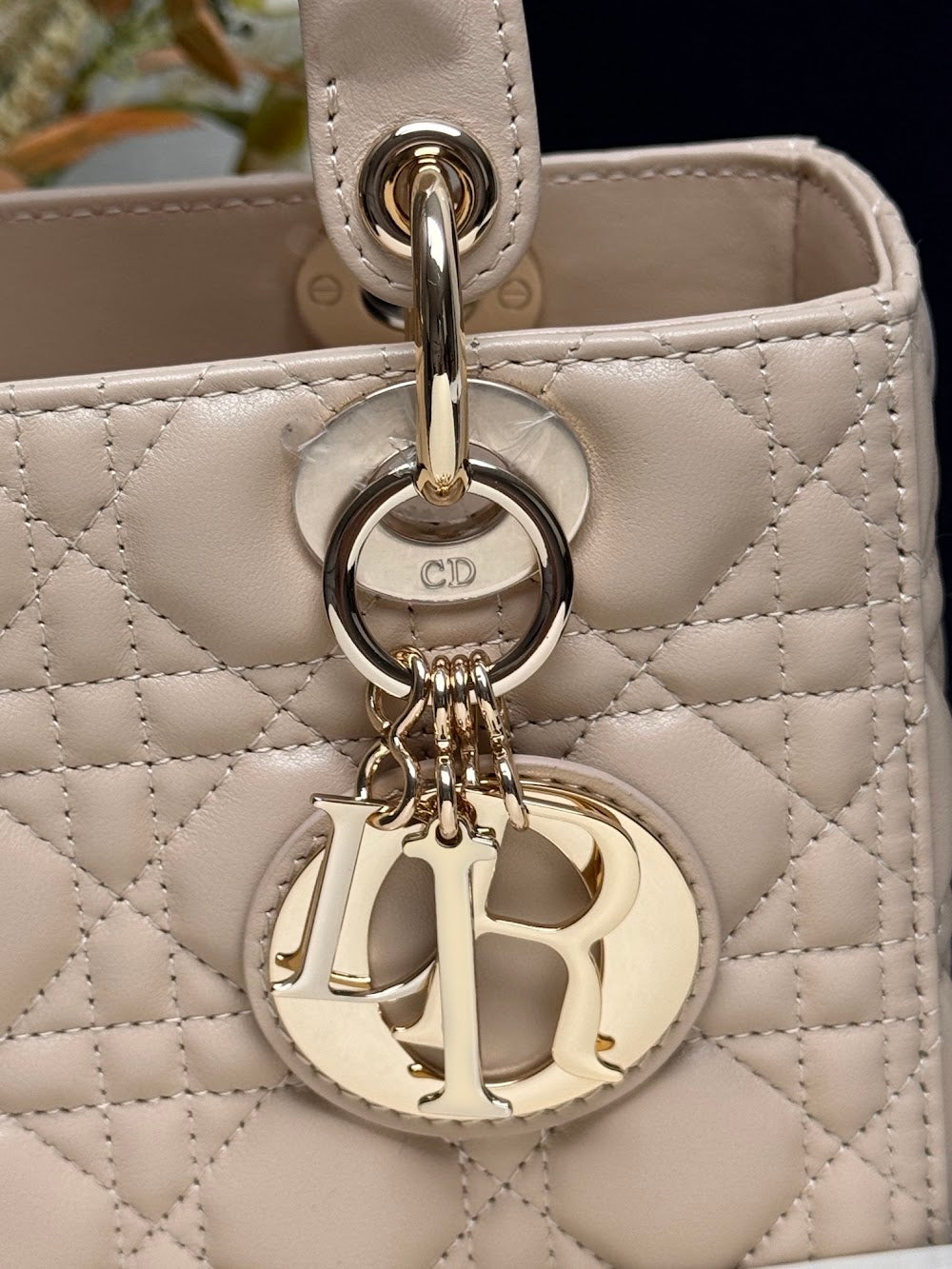 Ezyycart Bags Diorn Luxury Bag --116013