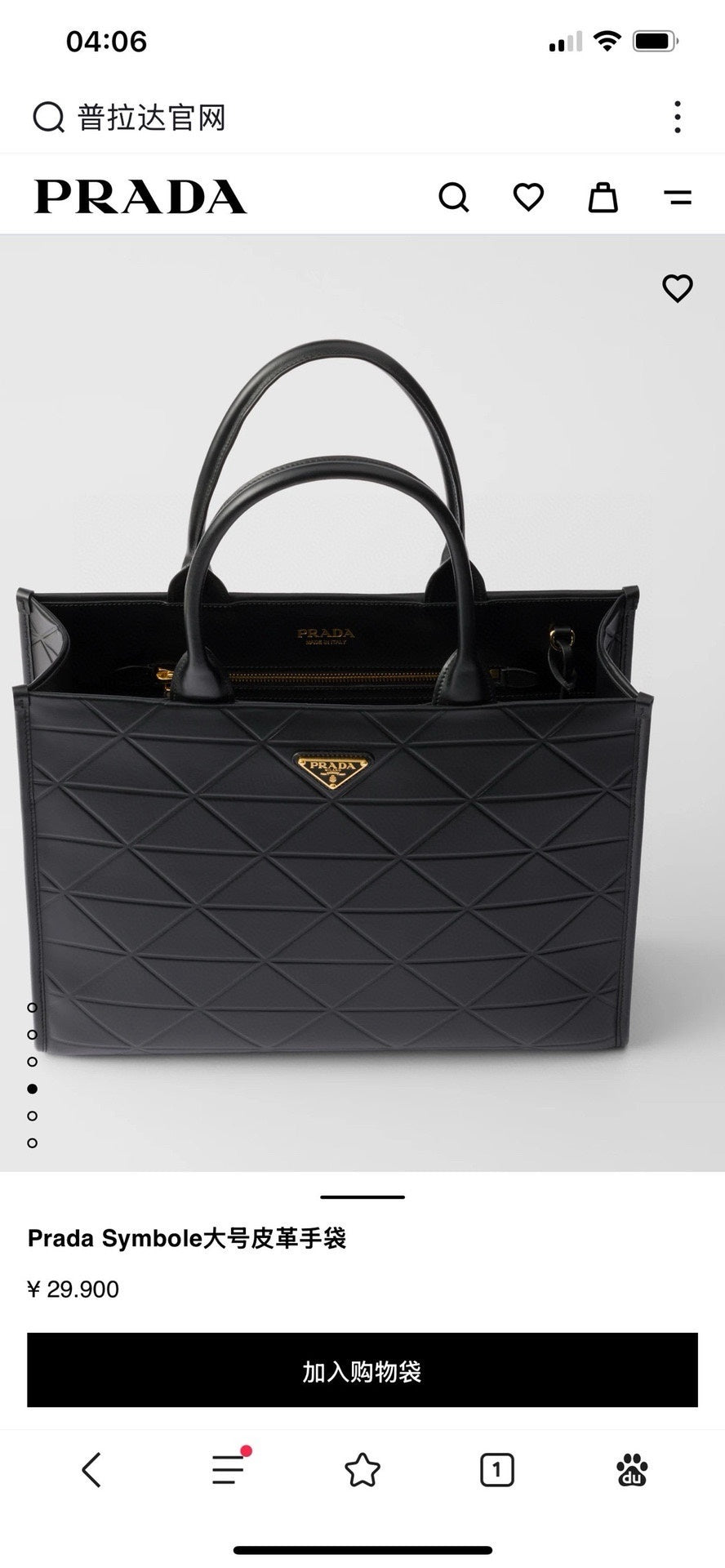 Ezyycart Bags Pradn Luxury Bag --101672