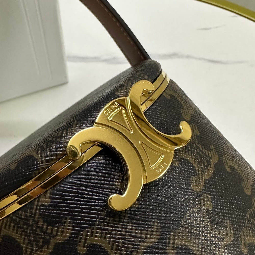 Ezyycart Bags Celine Luxury Bag --111995