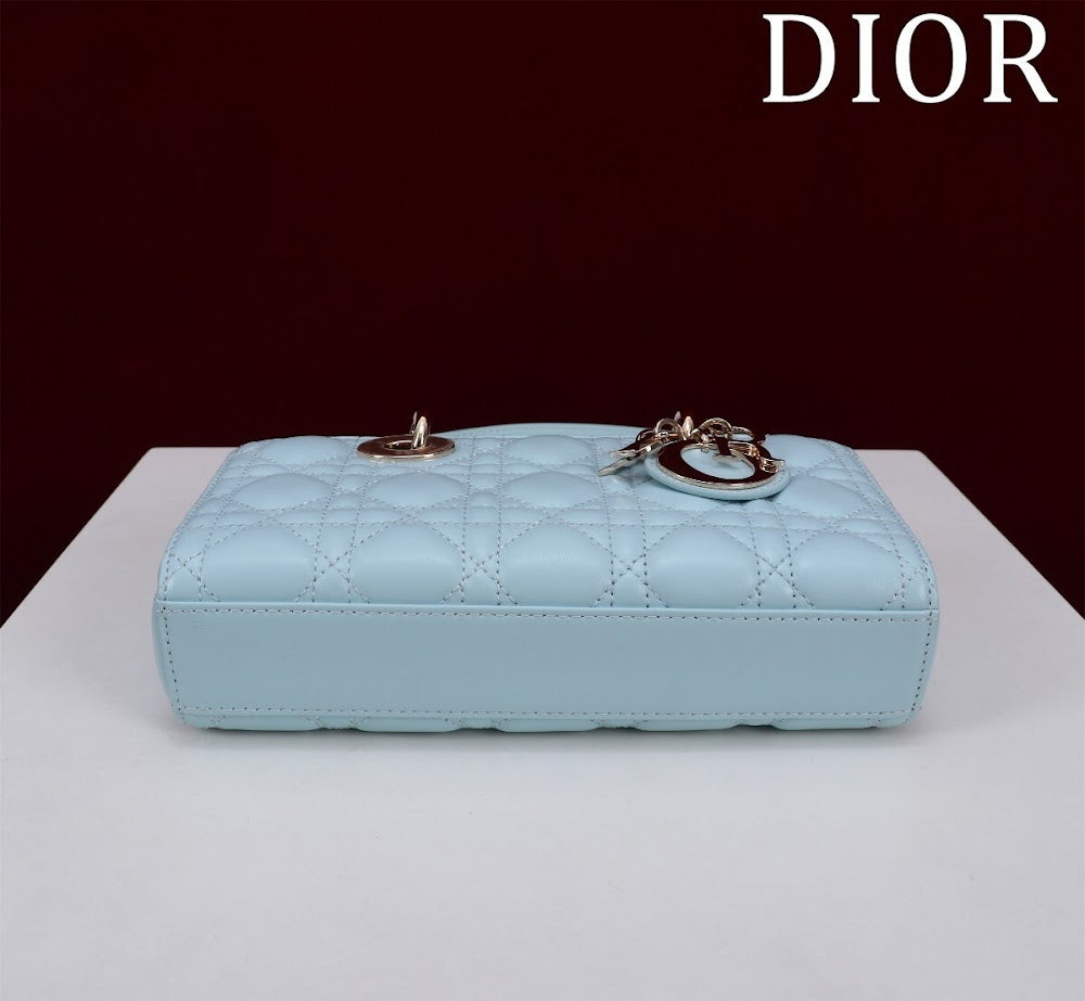 Anum Bags Diorn Luxury Bag --114752