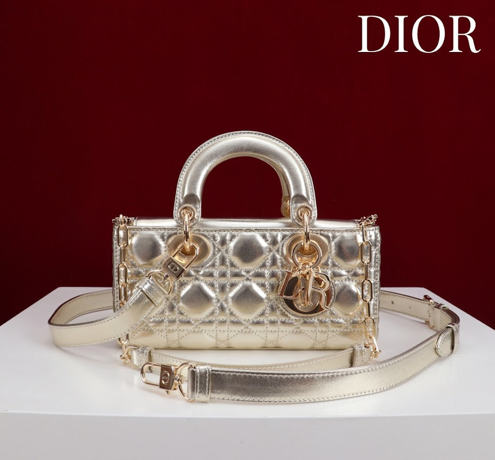 Ezyycart Bags Diorn Luxury Bag --114715