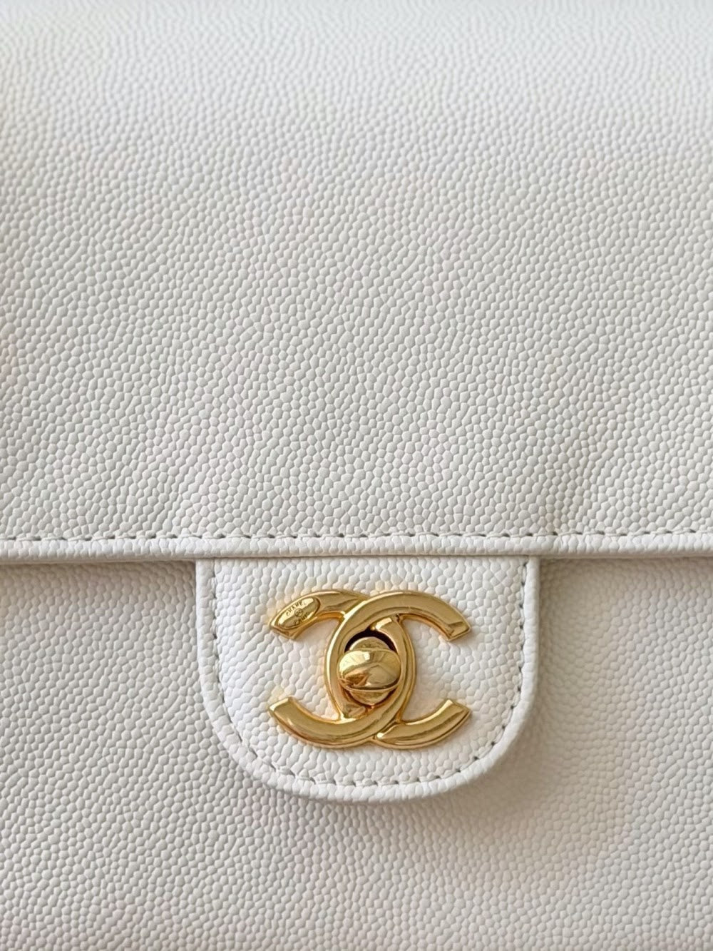 Anum Bags CHn Luxury Bag --114044