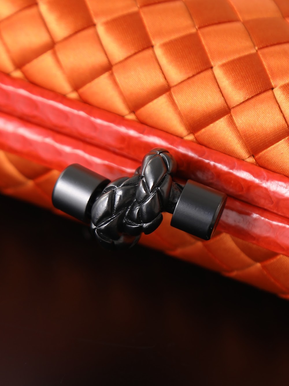 Ezyycart Bags Bottegan Luxury Bag --91256