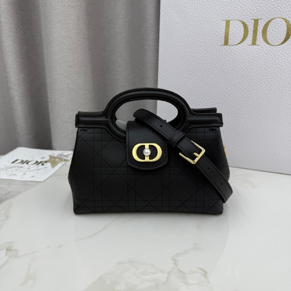 Ezyycart Bags Diorn Luxury Bag --116110