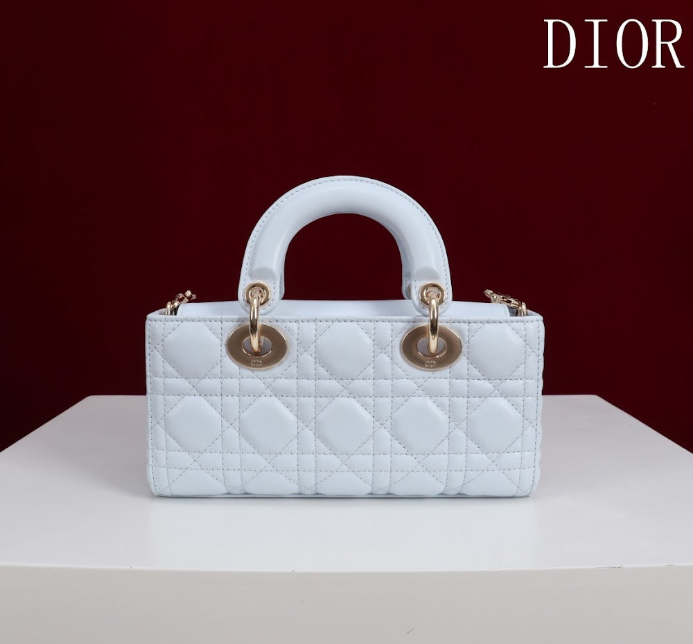 Anum Bags Diorn Luxury Bag --114713