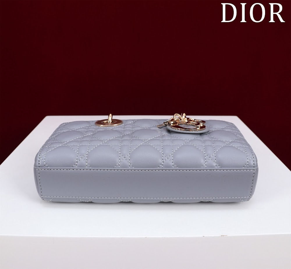 Anum Bags Diorn Luxury Bag --114767