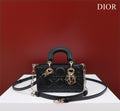 Ezyycart Bags Diorn Luxury Bag --116452