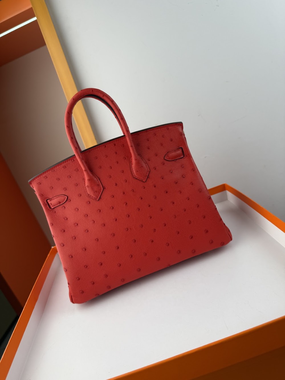 Anum Bags Hermesn Luxury Bag --116767