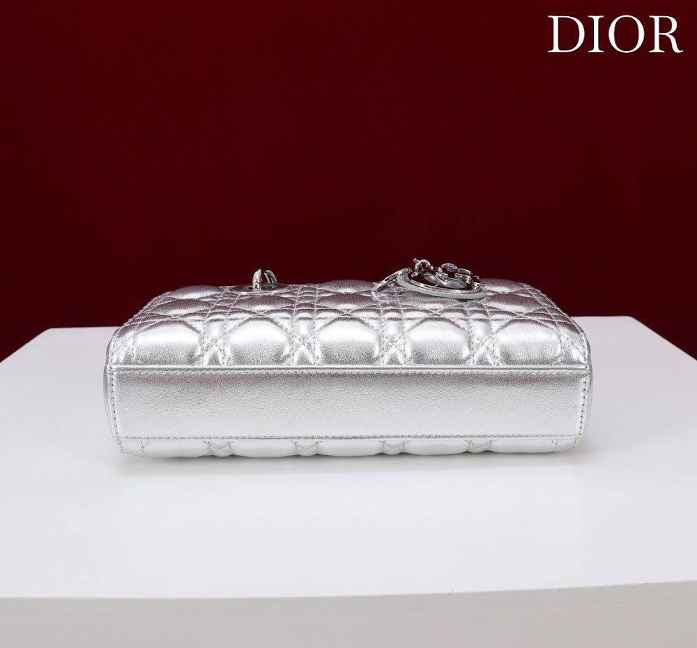 Anum Bags Diorn Luxury Bag --114718