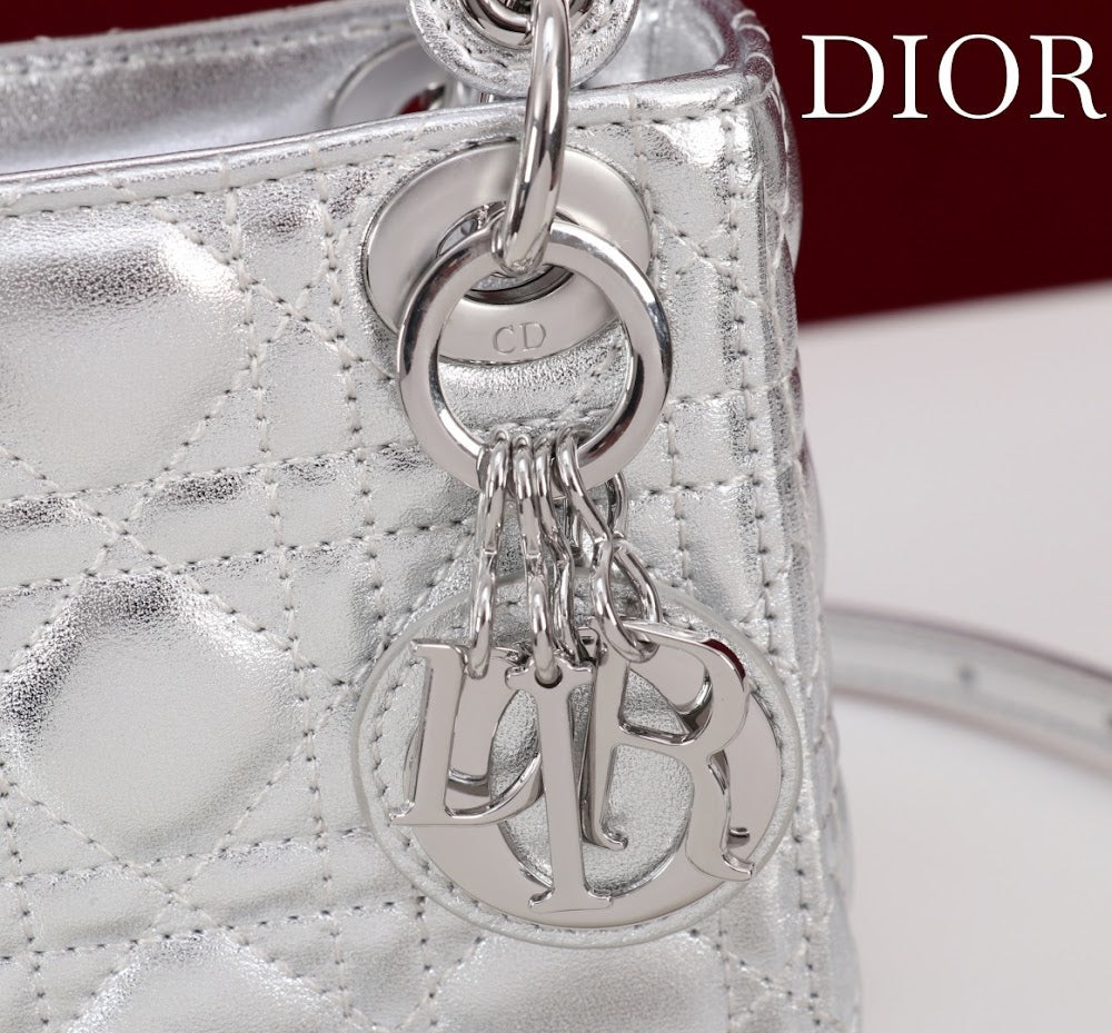 Ezyycart Bags Diorn Luxury Bag --116544