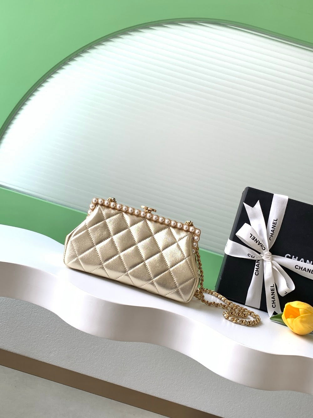 Anum Bags CHn Luxury Bag --113846