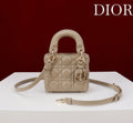 Ezyycart Bags Diorn Luxury Bag --116372