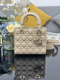 Ezyycart Bags Diorn Luxury Bag --115893