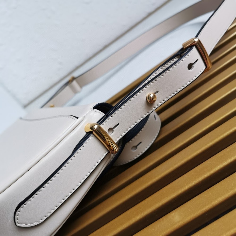 Ezyycart Bags Pradn Luxury Bag --101515