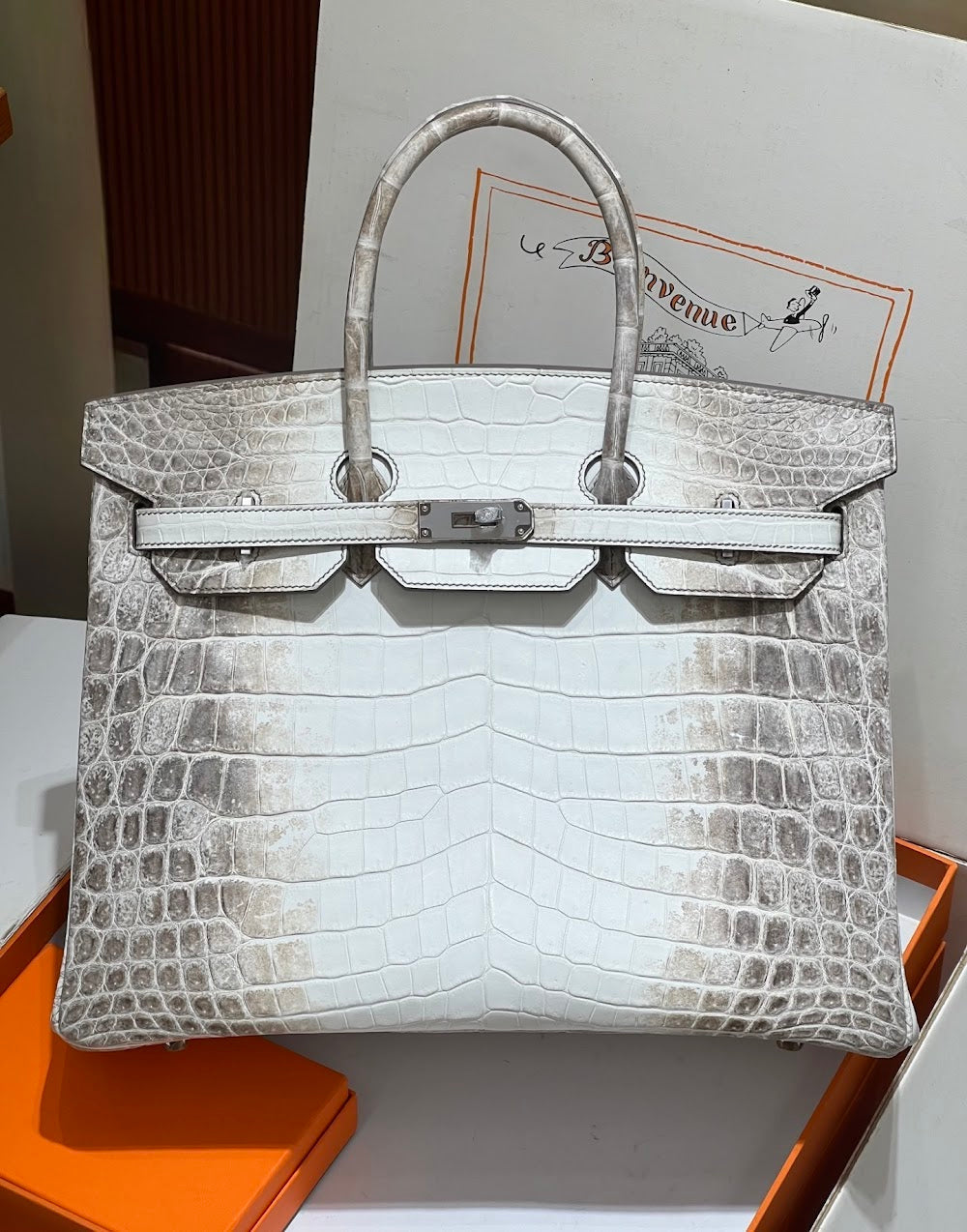 Anum Bags Hermesn Luxury Bag --116725
