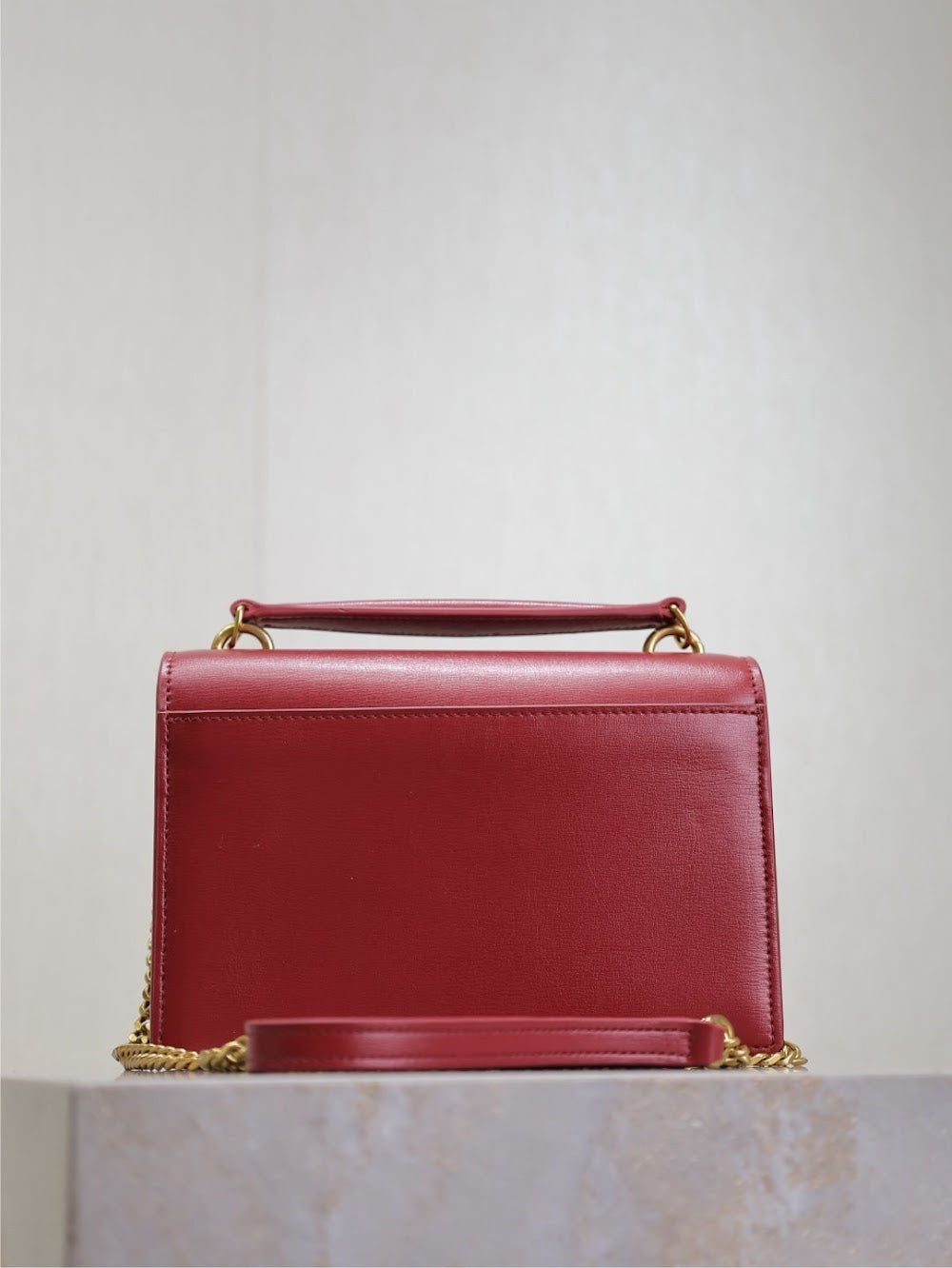 Ezyycart Bags YSLn Luxury Bag --119631