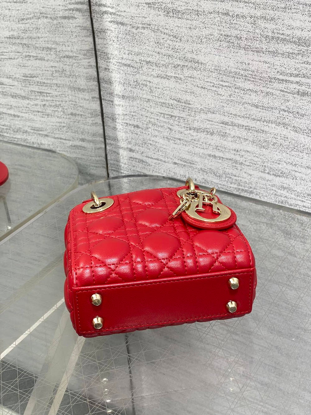 Anum Bags Diorn Luxury Bag --114986