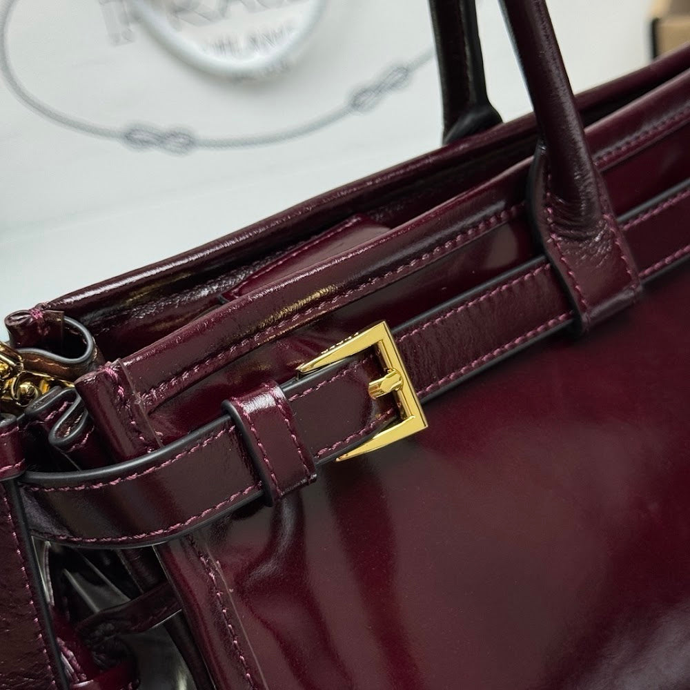 Ezyycart Bags Pradn Luxury Bag --101573