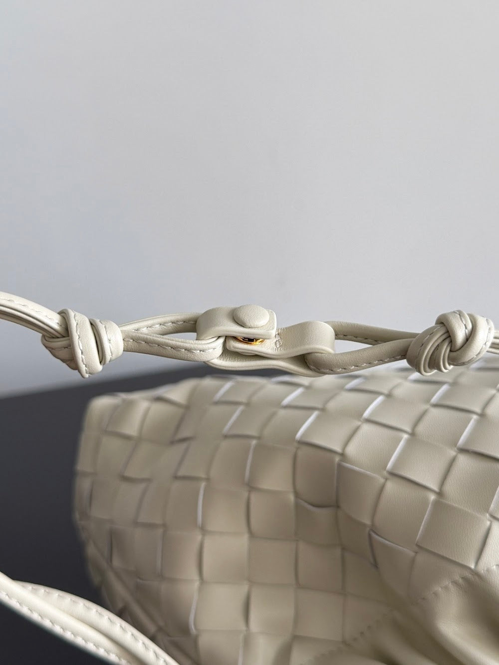 Ezyycart Bags Bottegan Luxury Bag --91557