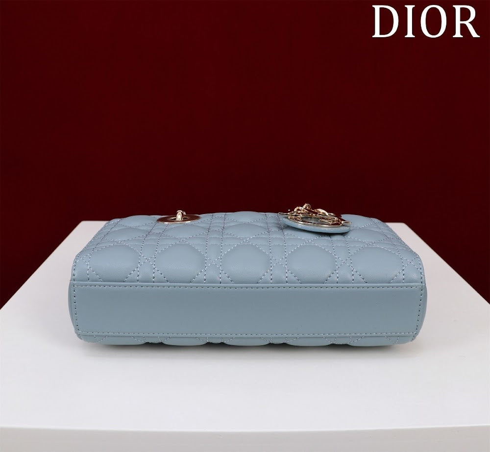 Anum Bags Diorn Luxury Bag --114777