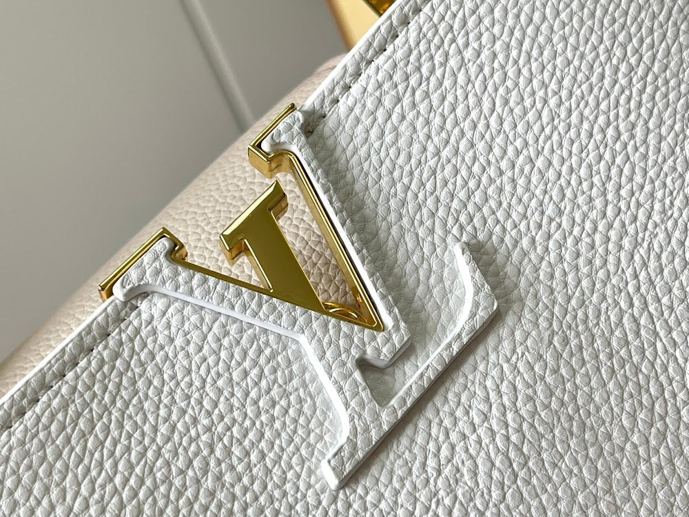 Anum Bags LVn Luxury Bag --78728