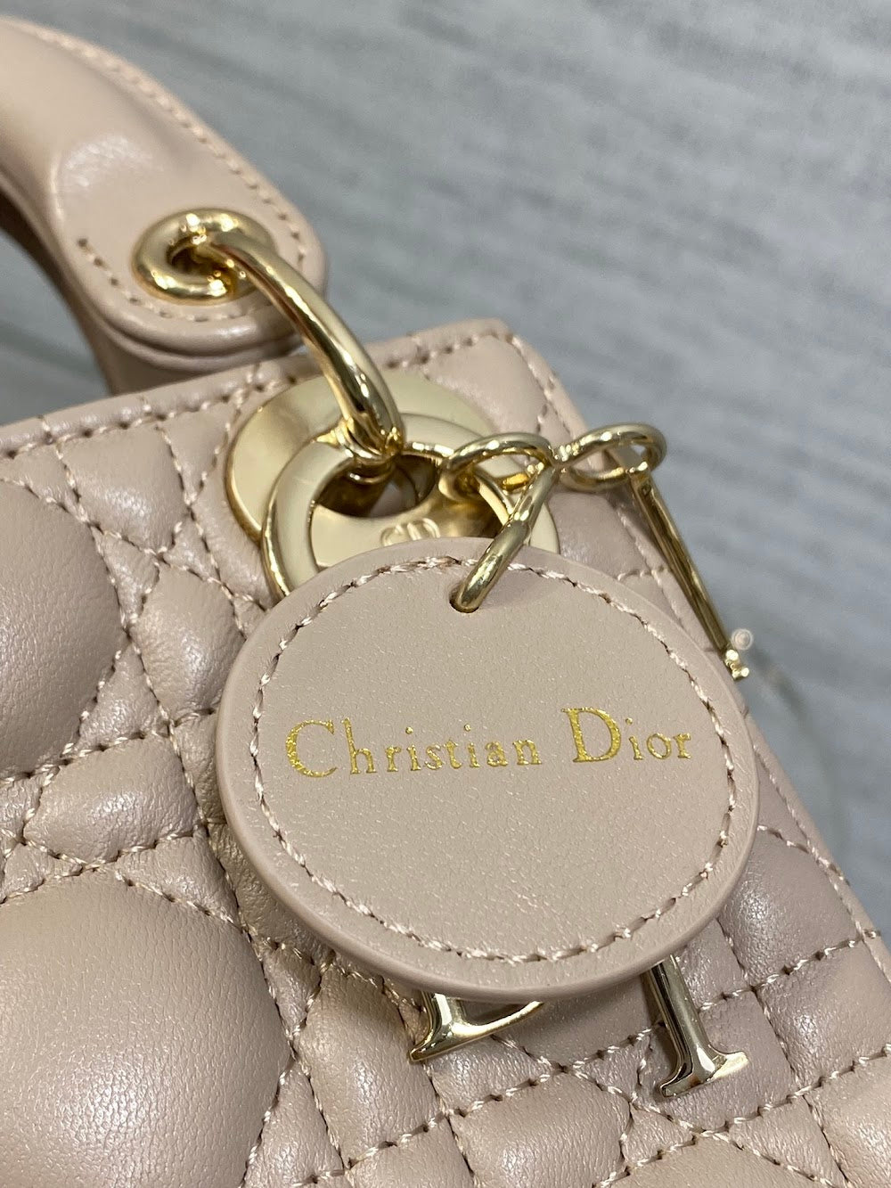Anum Bags Diorn Luxury Bag --114982