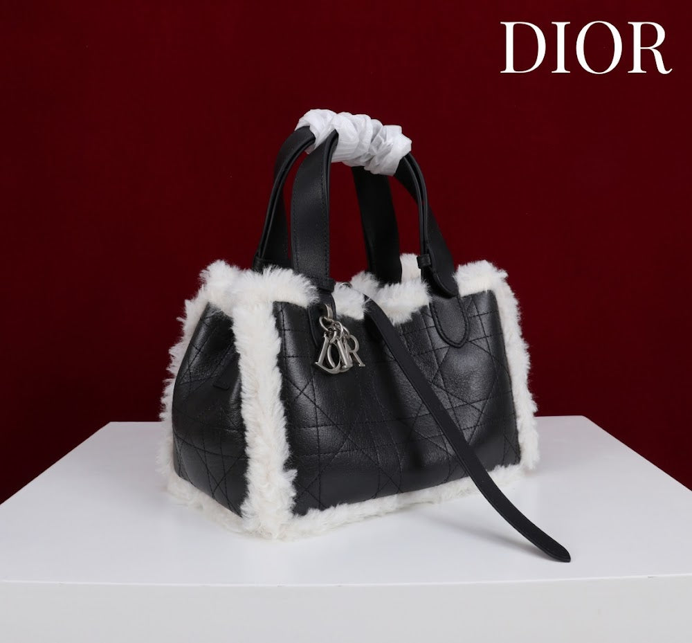 Anum Bags Diorn Luxury Bag --114888