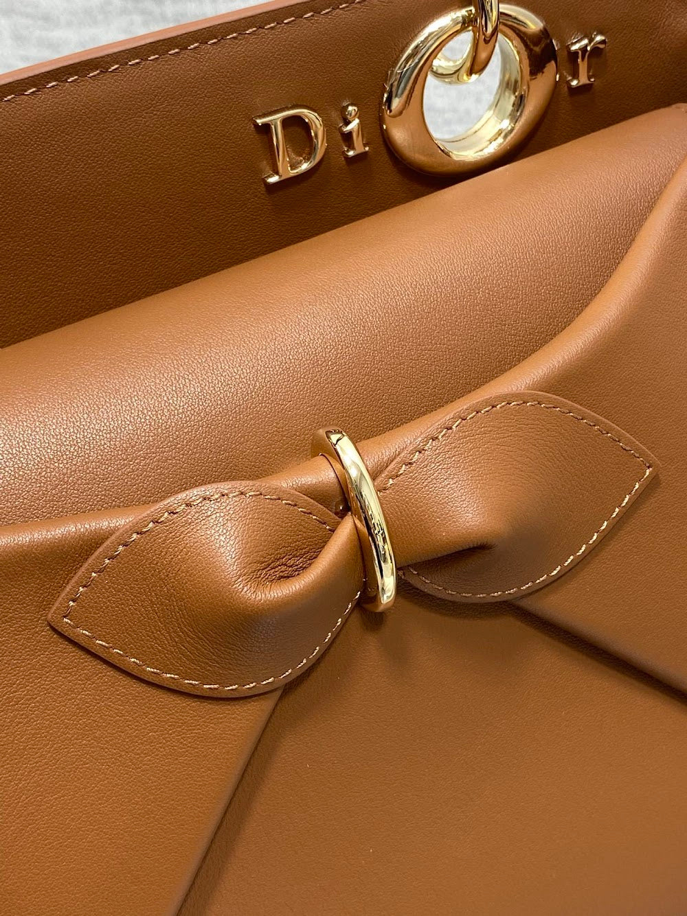 Anum Bags Diorn Luxury Bag --114769