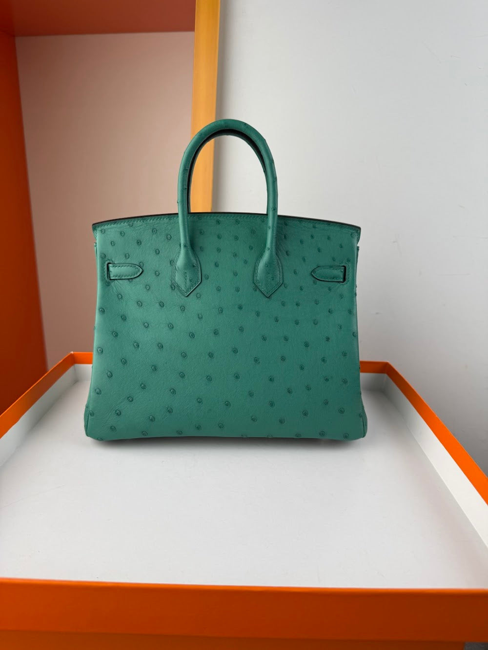 Anum Bags Hermesn Luxury Bag --116756