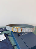Anum Bags Diorn Luxury Belt --107876