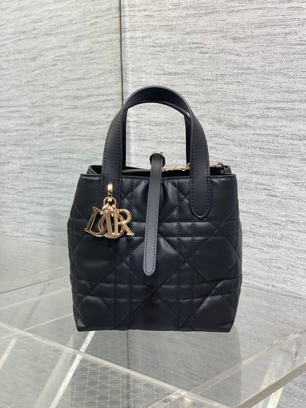 Ezyycart Bags Diorn Luxury Bag --115659