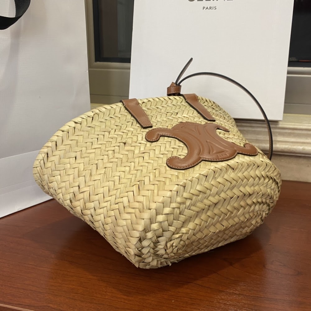 Ezyycart Bags Celine Luxury Bag --111980