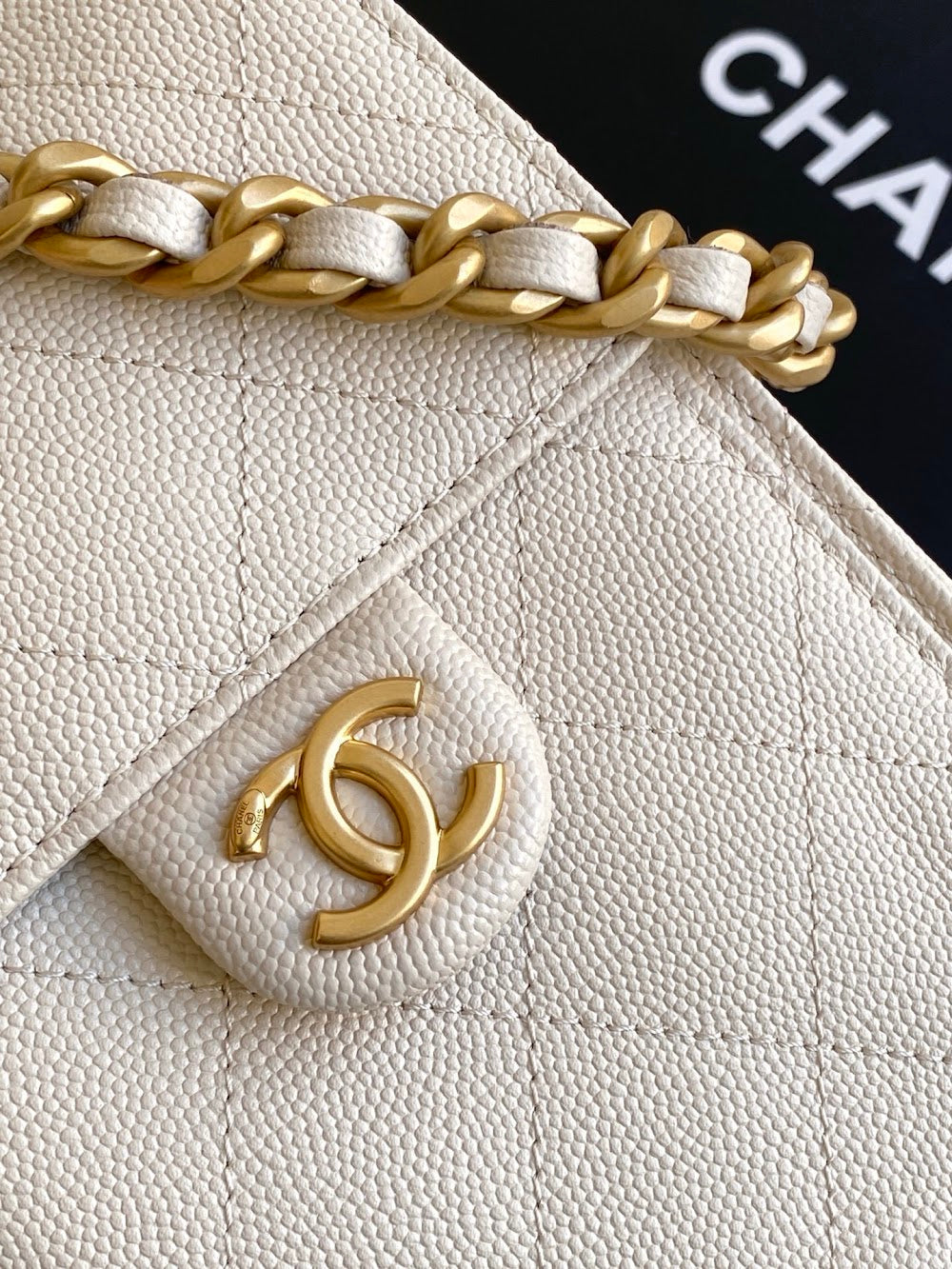 Anum Bags CHn Luxury Bag --114109