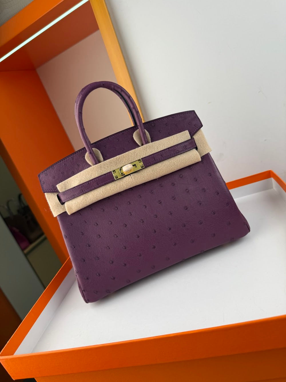 Anum Bags Hermesn Luxury Bag --116761