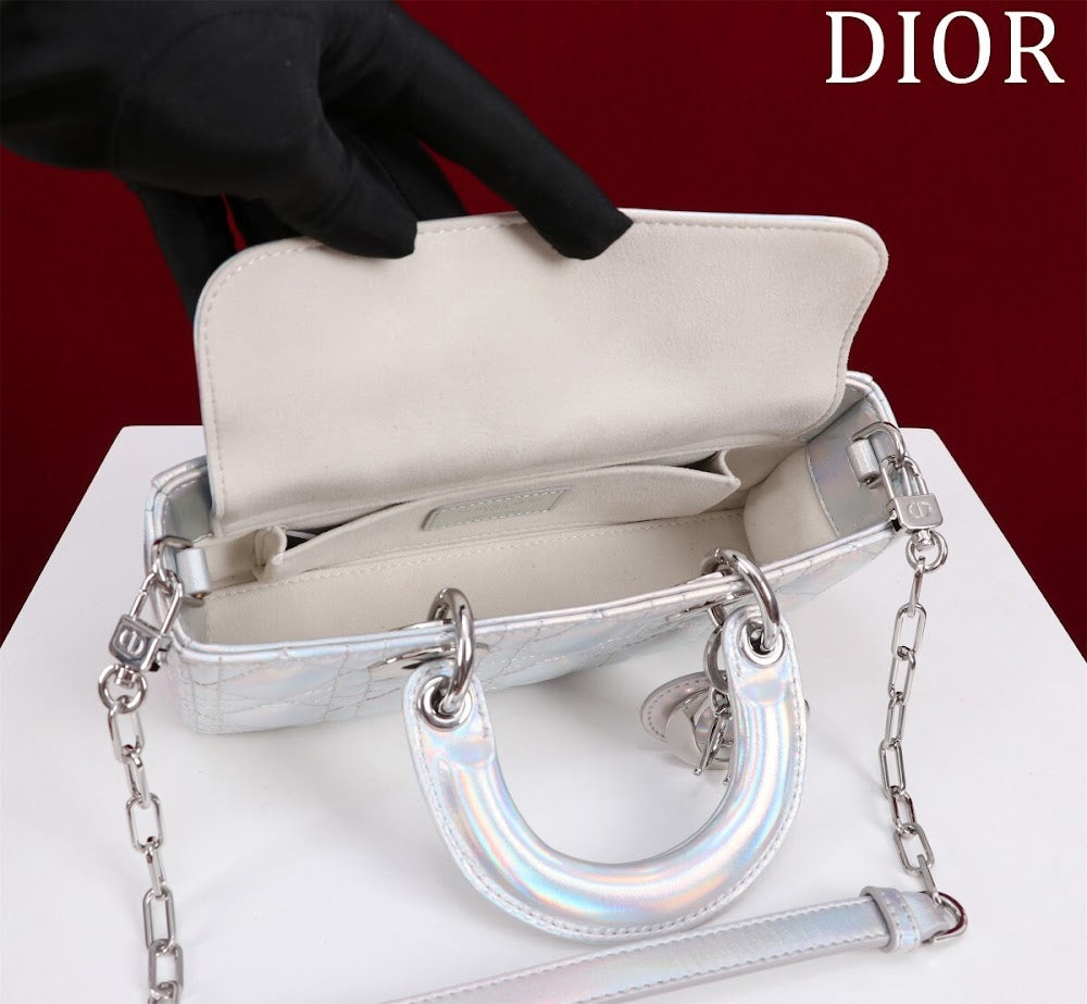 Anum Bags Diorn Luxury Bag --114772
