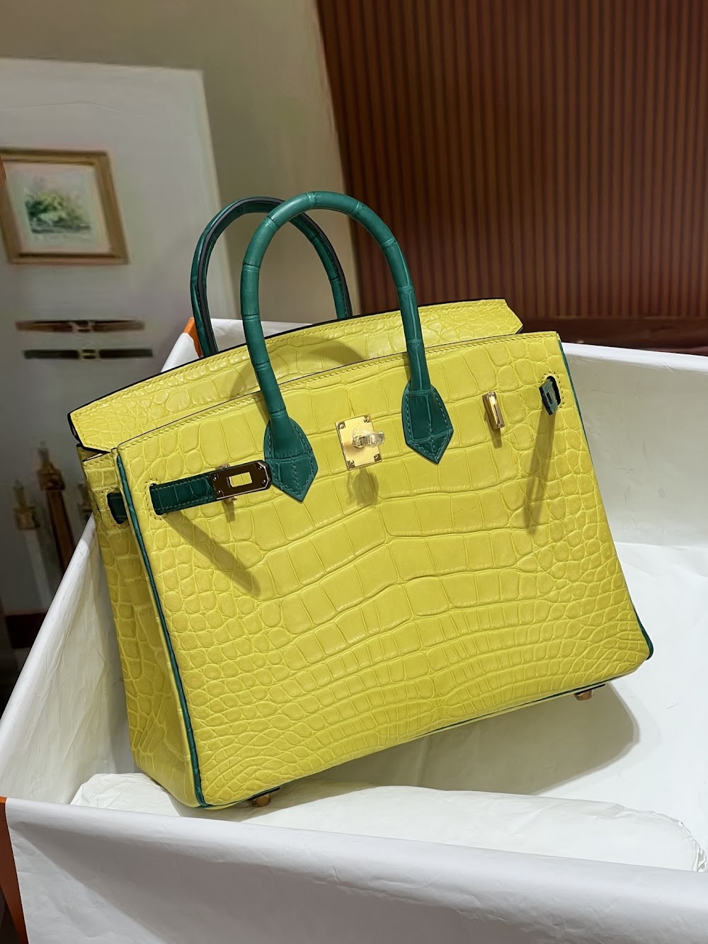 Anum Bags Hermesn Luxury Bag --116731