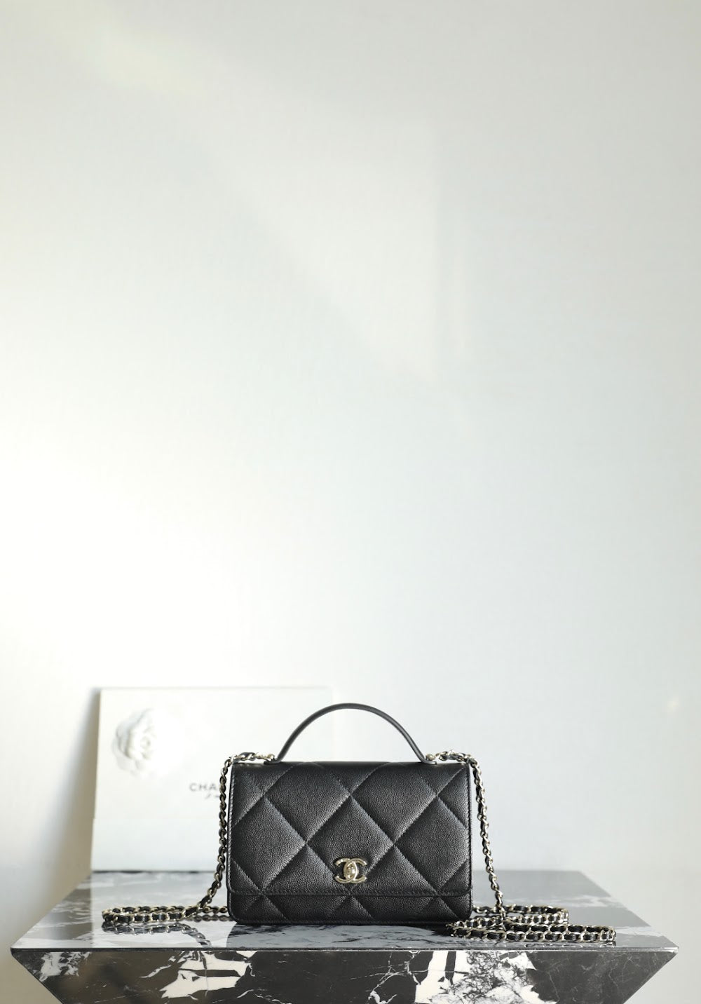 Anum Bags CHn Luxury Bag --113599