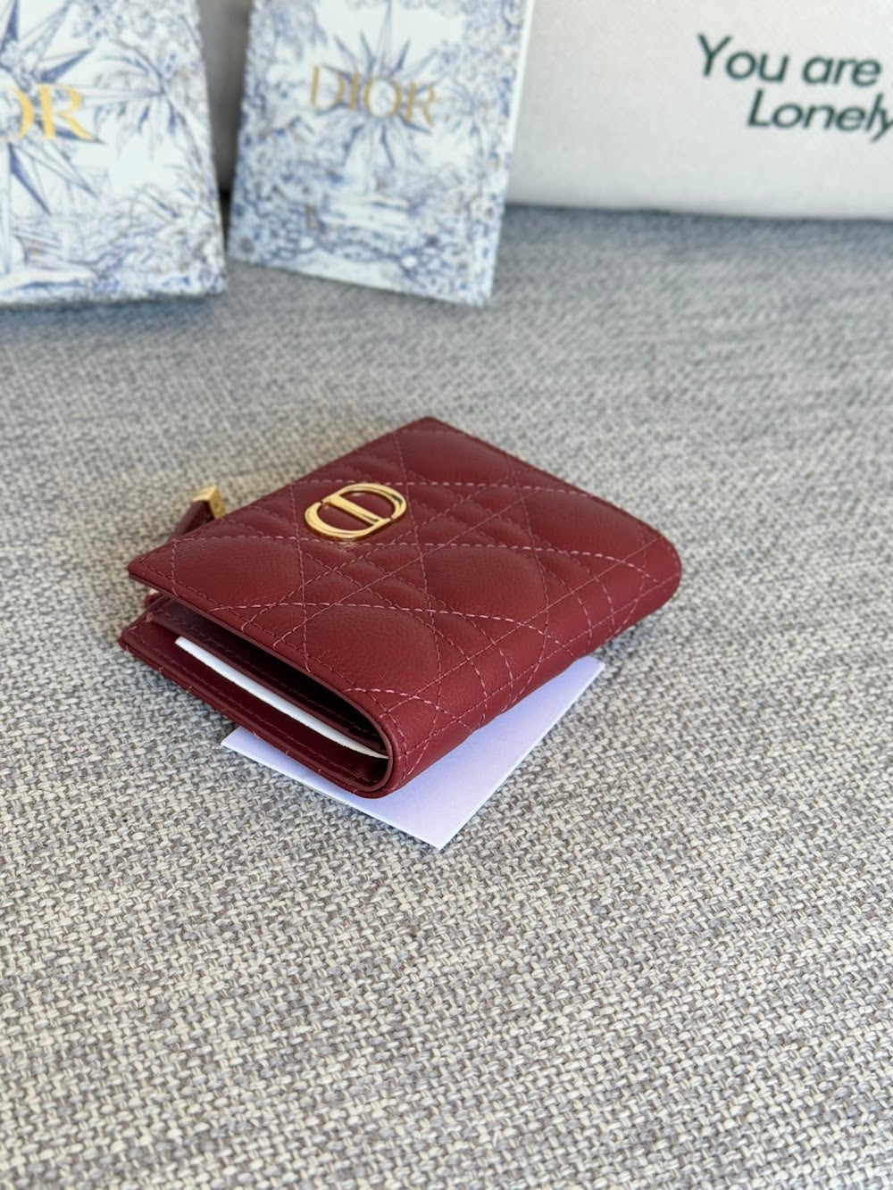 Ezyycart Bags Diorn Luxury Bag --115131