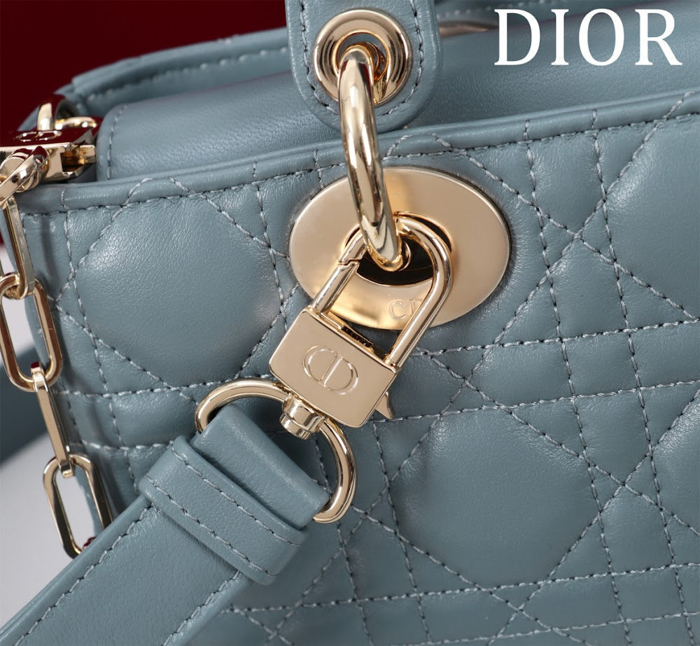 Anum Bags Diorn Luxury Bag --114720